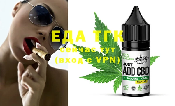 тгк Новозыбков
