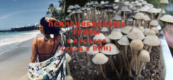 Альфа ПВП Нефтегорск