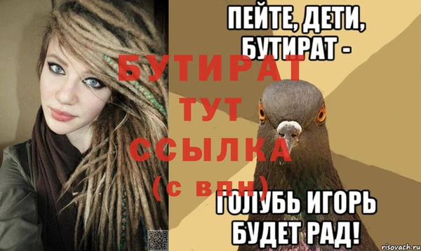 СК Новодвинск