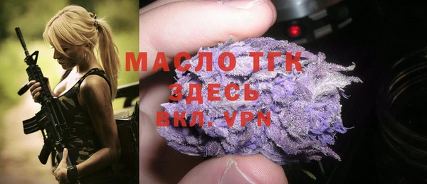 тгк Новозыбков