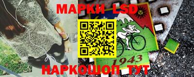 apvp Гатчина