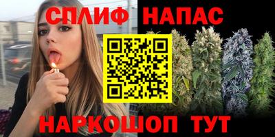 гашик Абинск