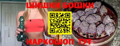 apvp Гатчина
