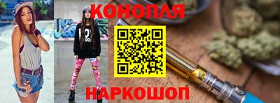 apvp Гатчина