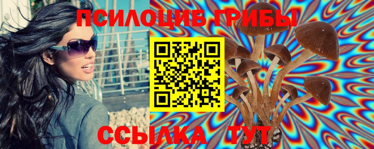Галлюциногенные грибы Magic Shrooms Алейск