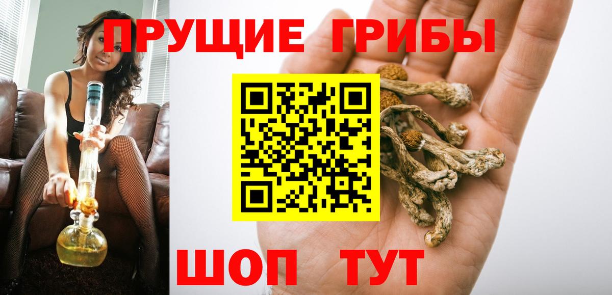 Псилоцибиновые грибы Cubensis  Псилоцибиновые грибы прущие грибы  цены наркотик  Алейск 