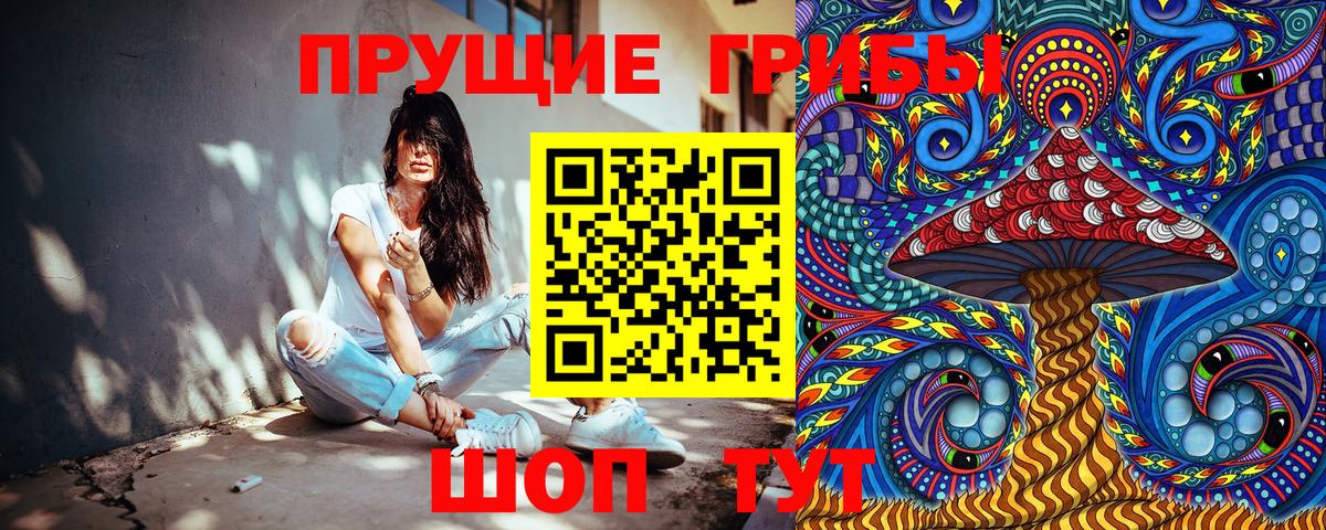Алейск  Галлюциногенные грибы Cubensis  Вход с VPN 