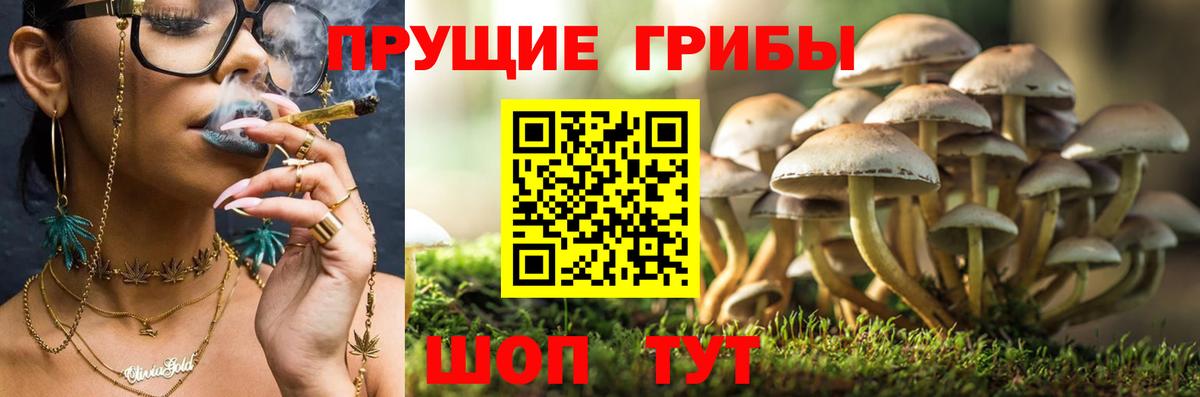 Галлюциногенные грибы мухоморы Алейск