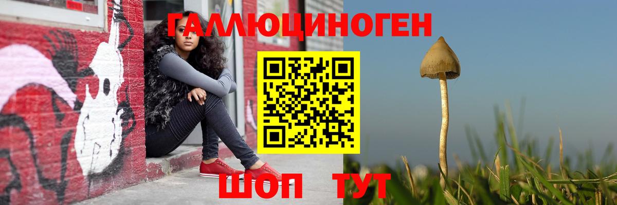 Псилоцибиновые грибы Magic Shrooms  Галлюциногенные грибы GOLDEN TEACHER  Вход с VPN  Алейск 