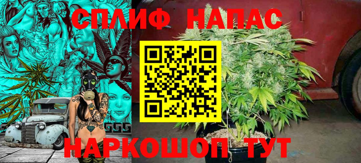 Канабис MAZAR Алейск